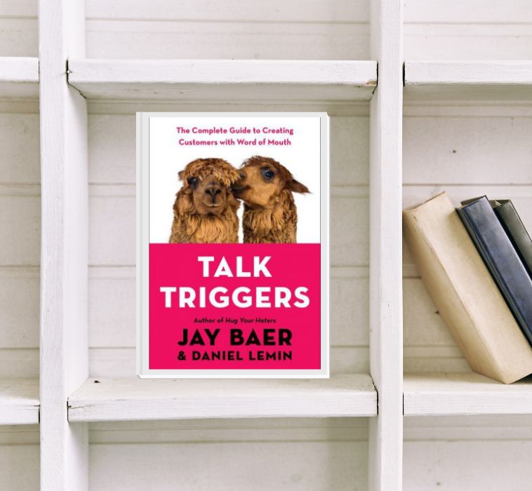 Review marketingboek Talk Triggers